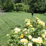 after-job-pictures-089