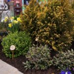 midatlantic-home-and-garden-show-2012-061